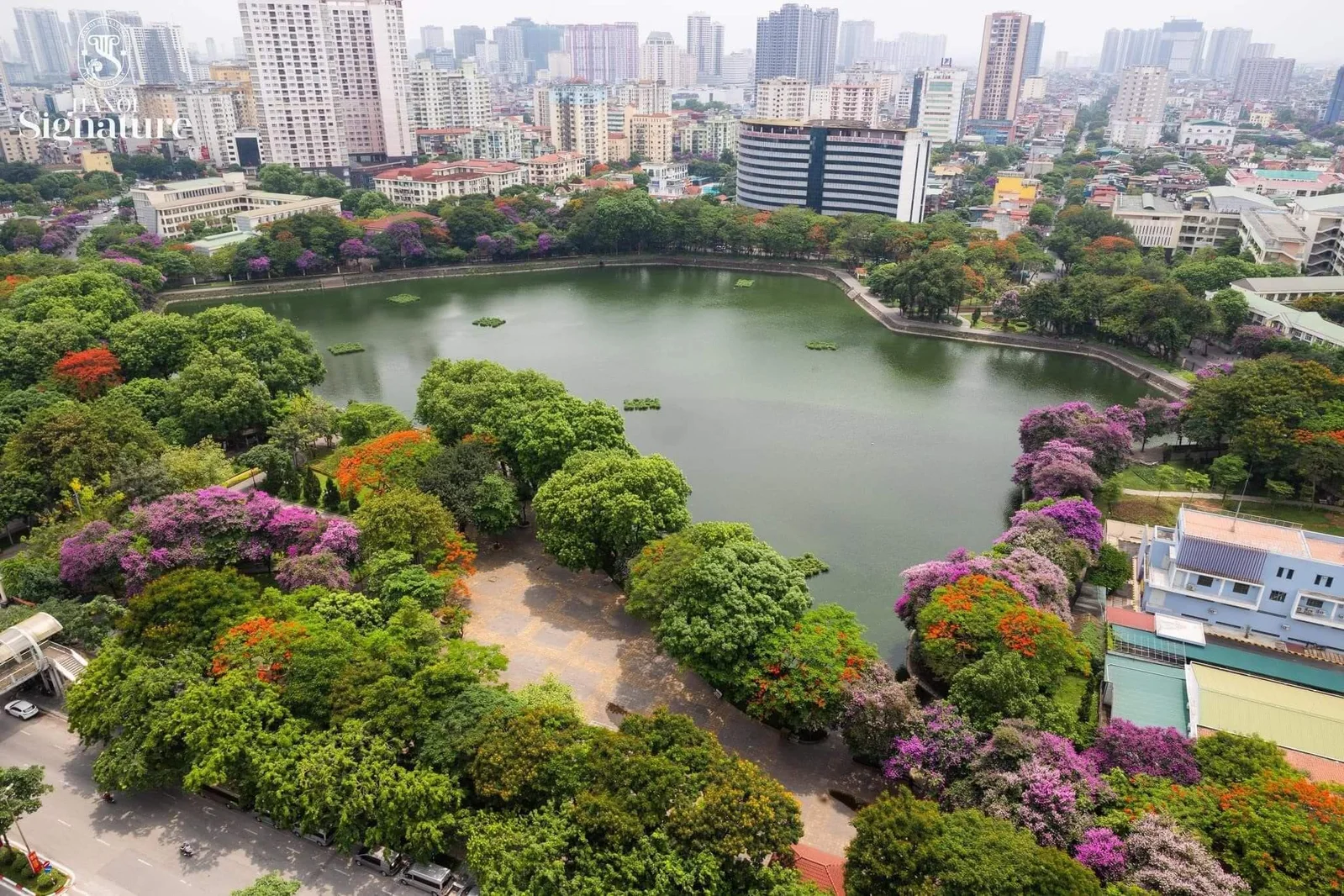 Tầm nhìn từ dự án